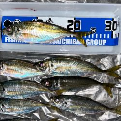 夕方の破壊力を堪能