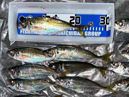 夕方の破壊力を堪能