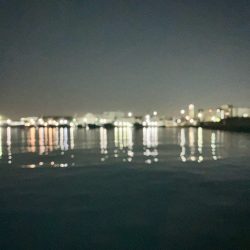 お痩せのようで⁉︎