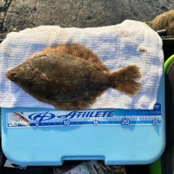 年末、釣り納め、クリスマスカレイ狙い