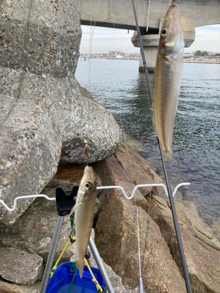 赤灯台〜東二見釣行！
