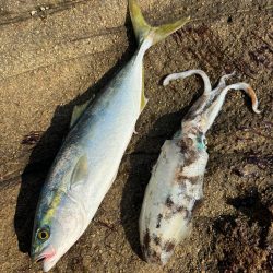 今年最後の釣行♡