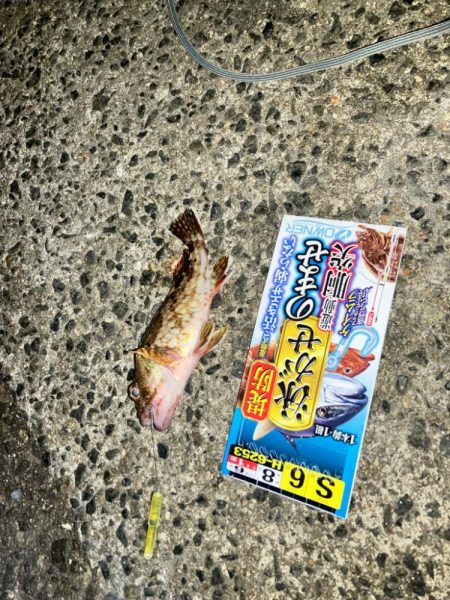 飲ませ仕掛けを使用したブッコミ釣り