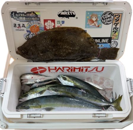 メジロ・ハマチ・ヒラメ/ノマセ・ジギング