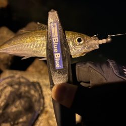 時合いまでのライトゲーム