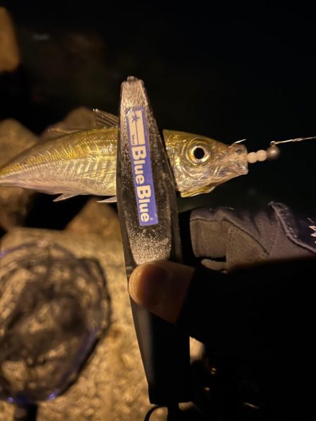 時合いまでのライトゲーム