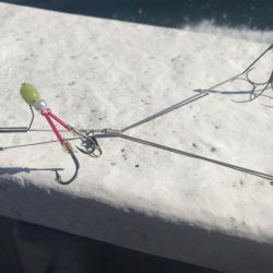 別府沖のカットウ釣り