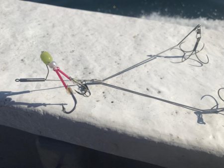 別府沖のカットウ釣り