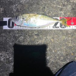 ナイトアジング、メバリング