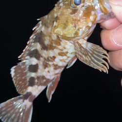 短時間メバリング