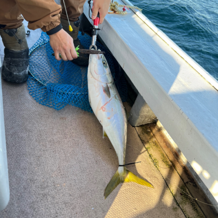 メジロ・ヒラメ・サゴシ/ノマセ・ジギング