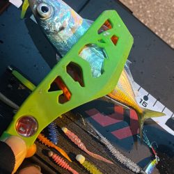 昨晩のヤツ！？