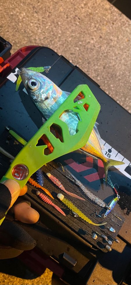 昨晩のヤツ！？