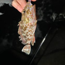 予報と違う風(๑•ૅㅁ•๑)