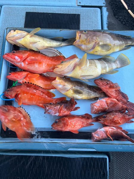 タイラバ根魚
