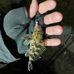 爆風ライトゲーム