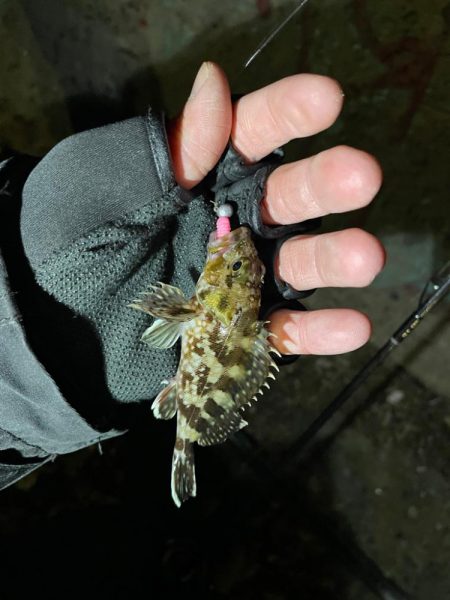 爆風ライトゲーム