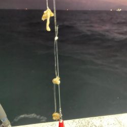 カワハギ　船釣り