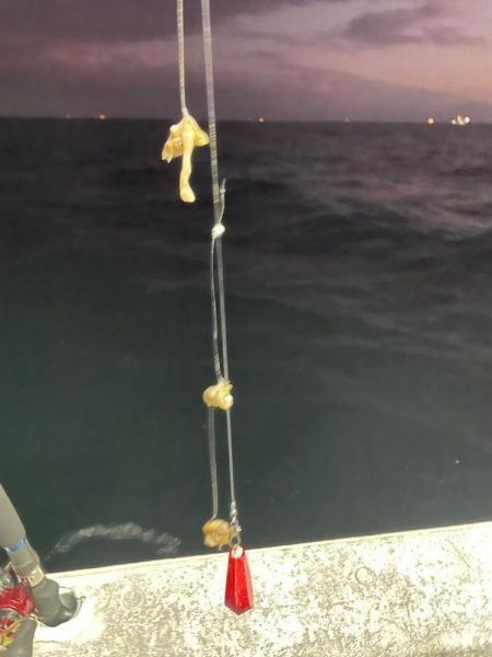 カワハギ　船釣り