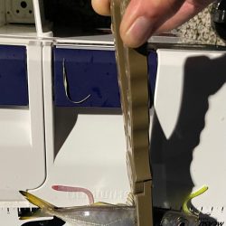 ジグ単de ~アジング♪ マジか?