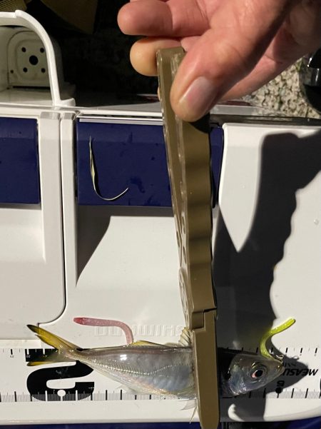 ジグ単de ~アジング♪ マジか?