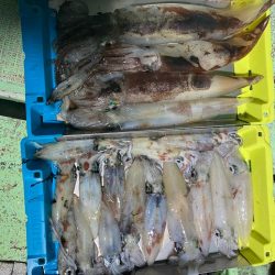 イカメタルでイカ三昧