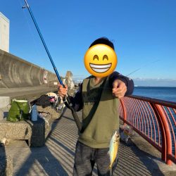 毒、多めな1日。