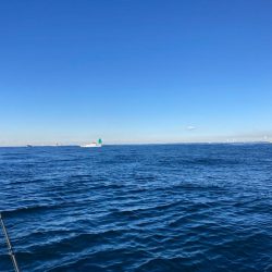 寒い中のカワハギ