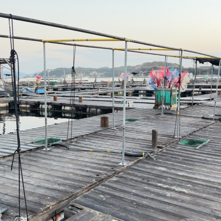 ハマチ・タイ/ウキ釣り