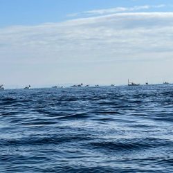 今年の釣り納めは明石で