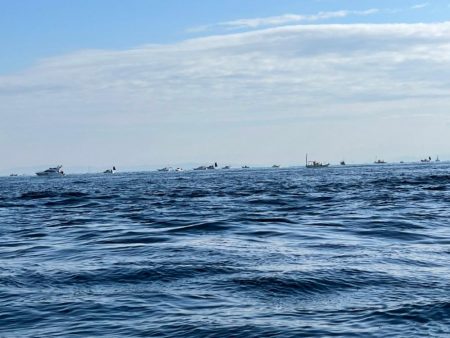 今年の釣り納めは明石で