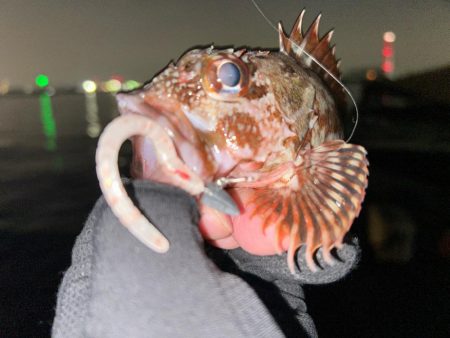 年末釣行の結末