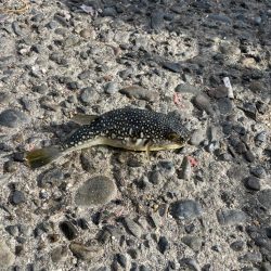 目標達成でいいですよね？