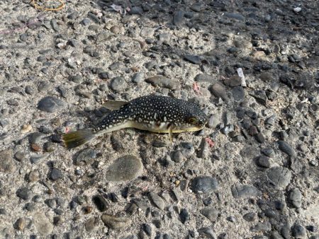 目標達成でいいですよね？