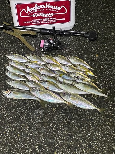 ジグ単de〜アジング♪ブルーモードからの……