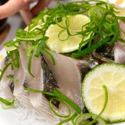 結局マキマキで釣る猫