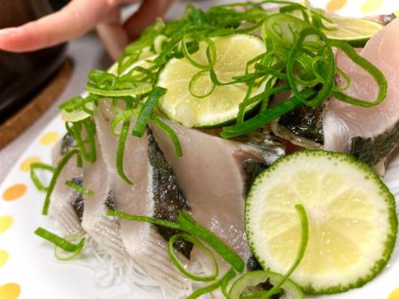 結局マキマキで釣る猫