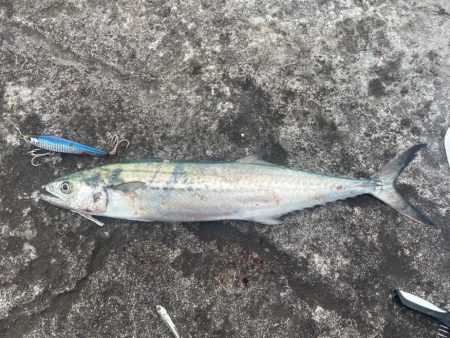 初場所ショアジギ!