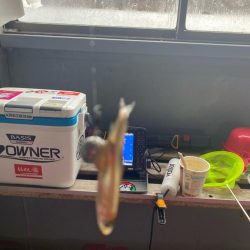 野尻湖ワカサギ釣り