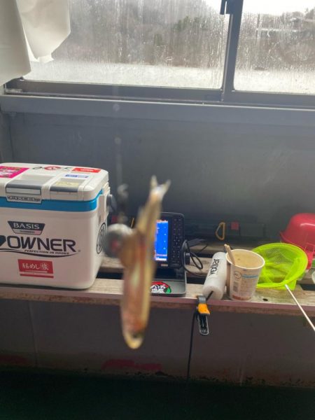 野尻湖ワカサギ釣り