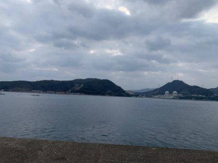 ペンペン狩りでLast surprise