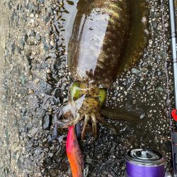 寒波来る前に！