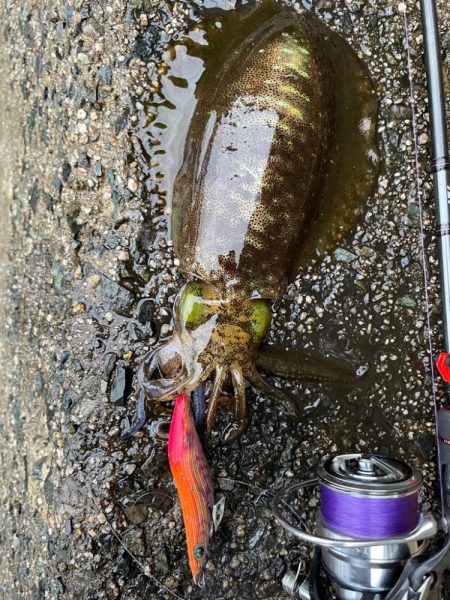 寒波来る前に！