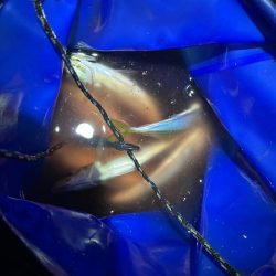 深夜０時からタチウオ釣りに行きました