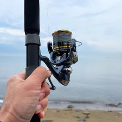 渋すぎて寒すぎる釣行 今日もキス狙い!