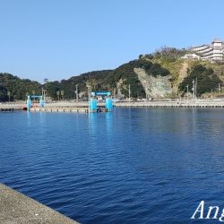 真冬でもアジが入れ食い！！