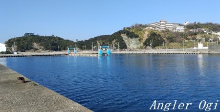 真冬でもアジが入れ食い！！