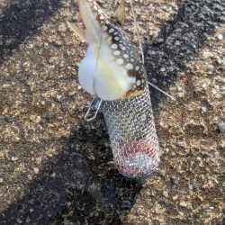 ハプニングあるも