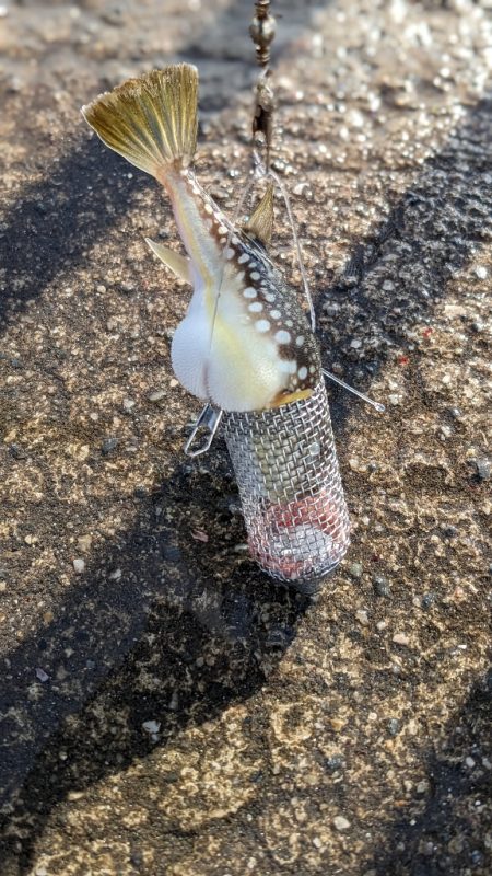 ハプニングあるも