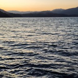 釣れている感じ